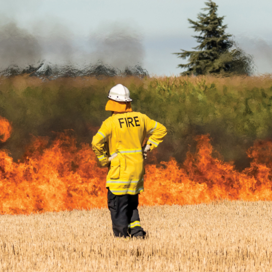Irrigation as Fire Defence.