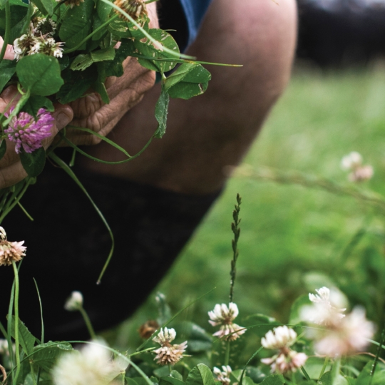 On‑Farm Water Outcomes.
