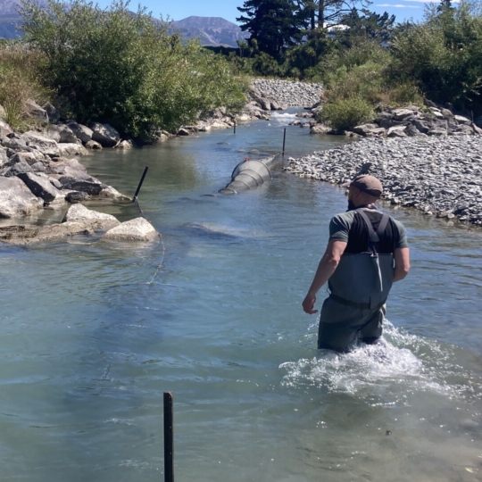 Native Fish Surveys.