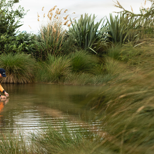 Monitoring Water Quality.