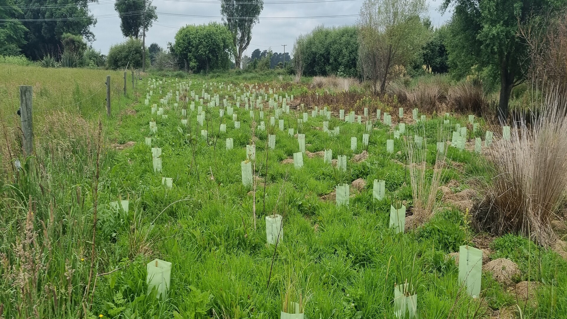 emf-greendot-aldersley